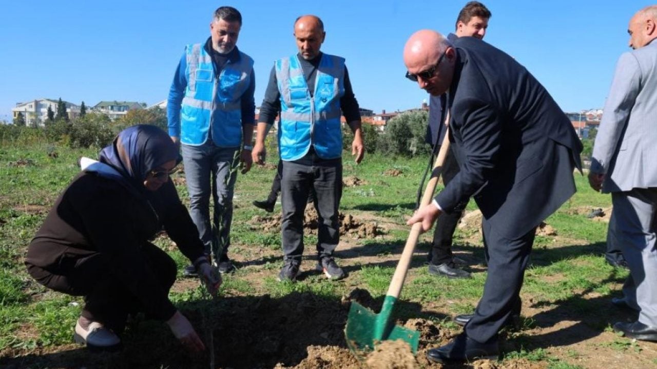 Foto - ‘Ağaçlar kesiliyor’ iftirasına en güzel cevap! Darıca’da 100 zeytin fidanı toprakla buluşturuldu