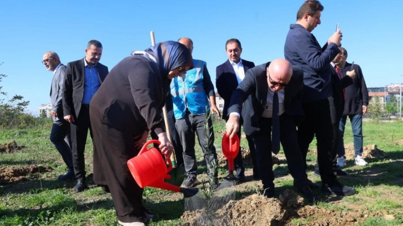 Foto - ‘Ağaçlar kesiliyor’ iftirasına en güzel cevap! Darıca’da 100 zeytin fidanı toprakla buluşturuldu
