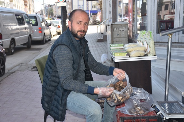 Foto - Ağaçların altından toplanıyor | Yarım altın ile yarışan bitki