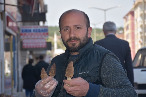 Foto - Ağaçların altından toplanıyor | Yarım altın ile yarışan bitki