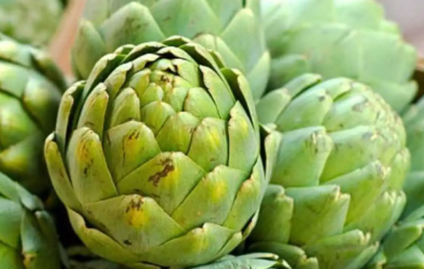 Foto - Ağız kokusundan bunalanlar dikkat! Neler iyi gelir? İşte detaylar…