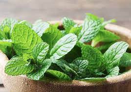 Foto - Ağız sağlığı! Ağızda bayat koku nasıl geçer? Şak diye kesilecek! Limon, su yeşil çay ve susam yağı ile doğal çözüm 