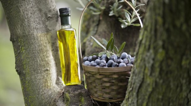 Foto - Ağızda zeytinyağı çalkalamanın muhteşem etkisi