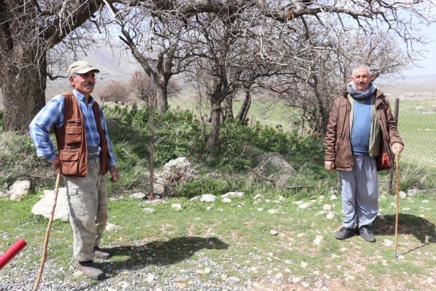 'Ağlayan Gelin'i koparanlar şimdi fena yanacak! Bu detaya dikkat...