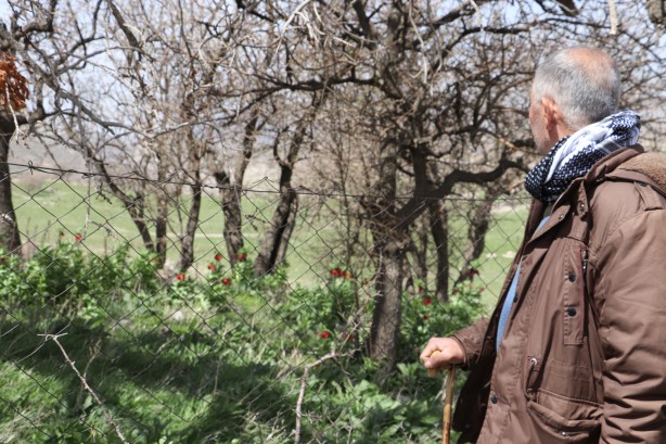 Foto - 'Ağlayan Gelin'i koparanlar şimdi fena yanacak! Bu detaya dikkat...