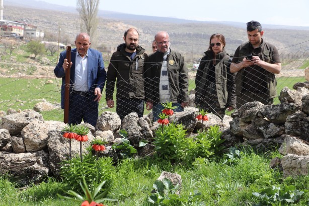 Foto - 'Ağlayan Gelin'i koparanlar şimdi fena yanacak! Bu detaya dikkat...
