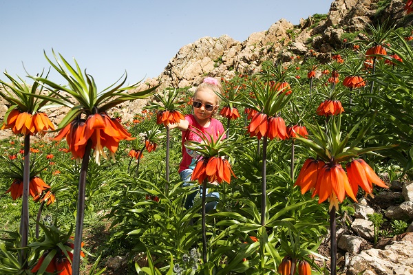 Foto - Ağlayan gelinler güzelliğiyle hayran bırakıyor