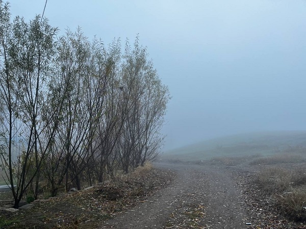 Foto - Ağrı adeta buz kesti! 
