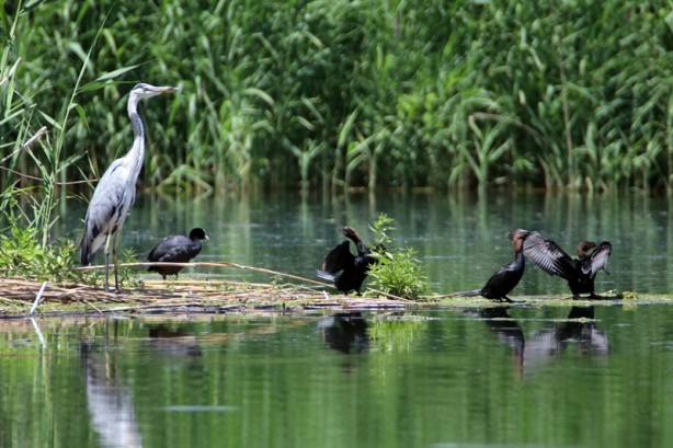 Foto - Ağrı Dağı'ndaki buzullar eridi! Ortaya bu görüntüler çıktı