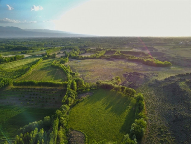 Foto - Ağrı Dağı'nın etekleri turistleri büyülüyor