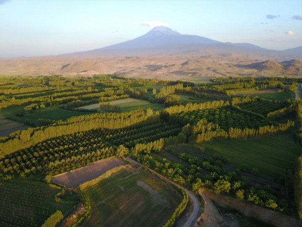 Foto - Ağrı Dağı'nın etekleri turistleri büyülüyor
