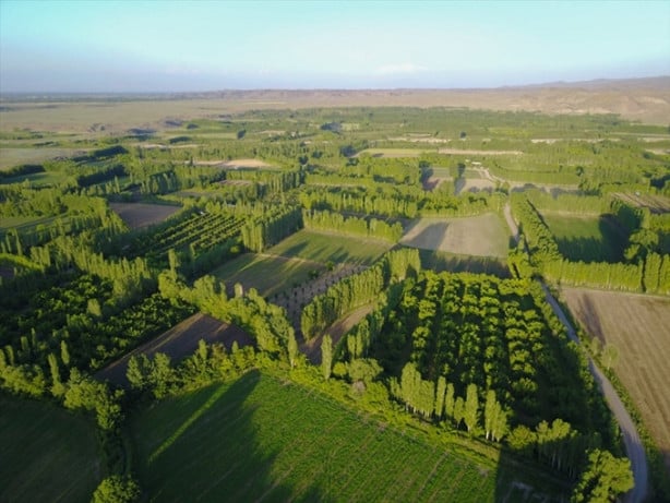 Foto - Ağrı Dağı'nın etekleri turistleri büyülüyor