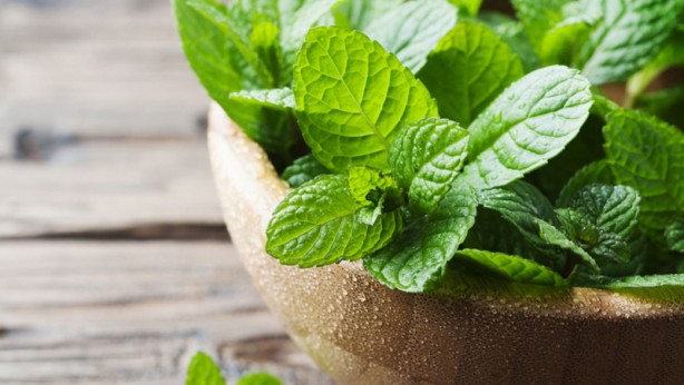 Foto - Ağrı kesici hapları atın! İşte doğal ağrı kesici olarak kullanılan 14 besin