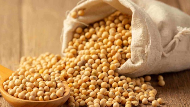 Foto - Ağrı kesici hapları atın! İşte doğal ağrı kesici olarak kullanılan 14 besin