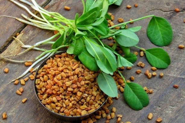 Foto - Ağrı kesicileri rafa kaldıran bitki! Bir tutamı yetiyor