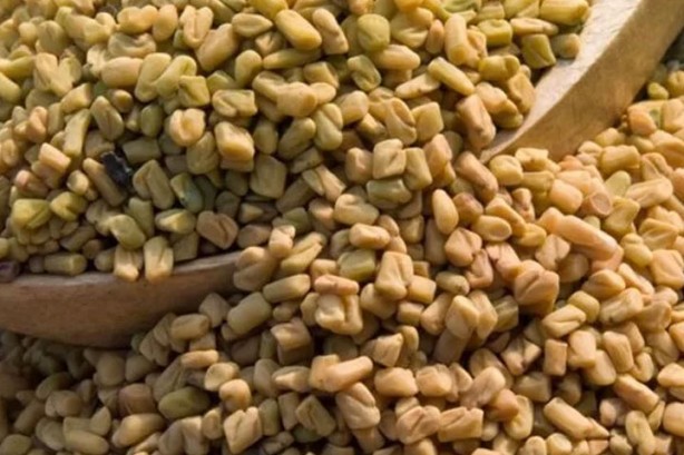 Foto - Ağrı kesicileri rafa kaldıran bitki! Bir tutamı yetiyor