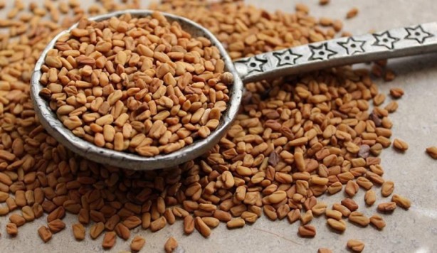 Foto - Ağrı kesicileri rafa kaldıran bitki! Bir tutamı yetiyor