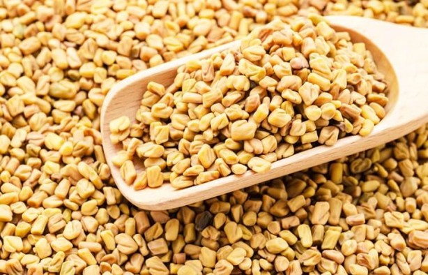 Foto - Ağrı kesicileri rafa kaldıran bitki! Bir tutamı yetiyor