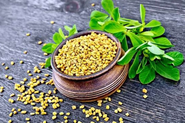 Foto - Ağrı kesicileri rafa kaldıran bitki! Bir tutamı yetiyor