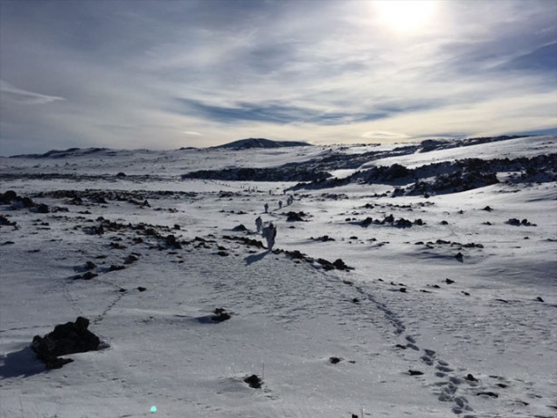 Foto - Ağrı ve Tendürek dağları PKK'ya dar edildi!