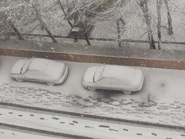 Foto - Ağrı'da Mart sonunda kar yağışı