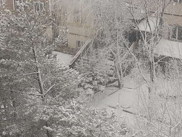 Foto - Ağrı'da Mart sonunda kar yağışı