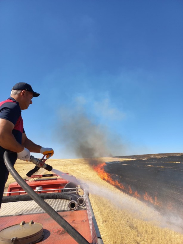 Foto - Ağrı’da onlarca dönüm ekili tarla küle döndü