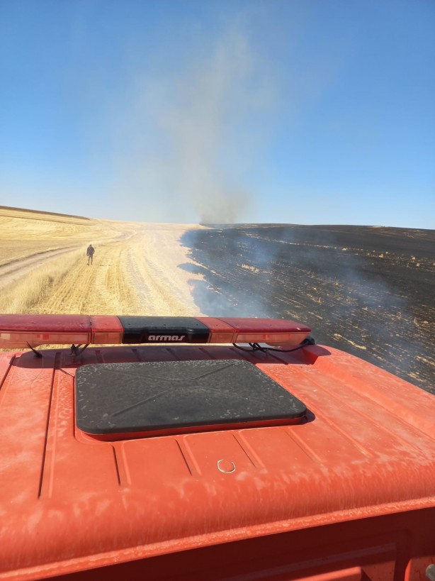 Foto - Ağrı’da onlarca dönüm ekili tarla küle döndü