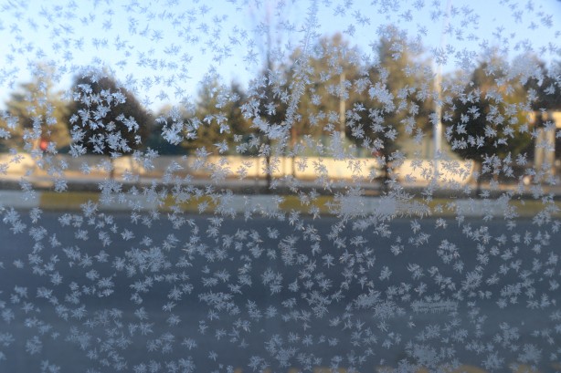 Foto - Ağrı'da soğuk hava araçların camlarını dondurdu