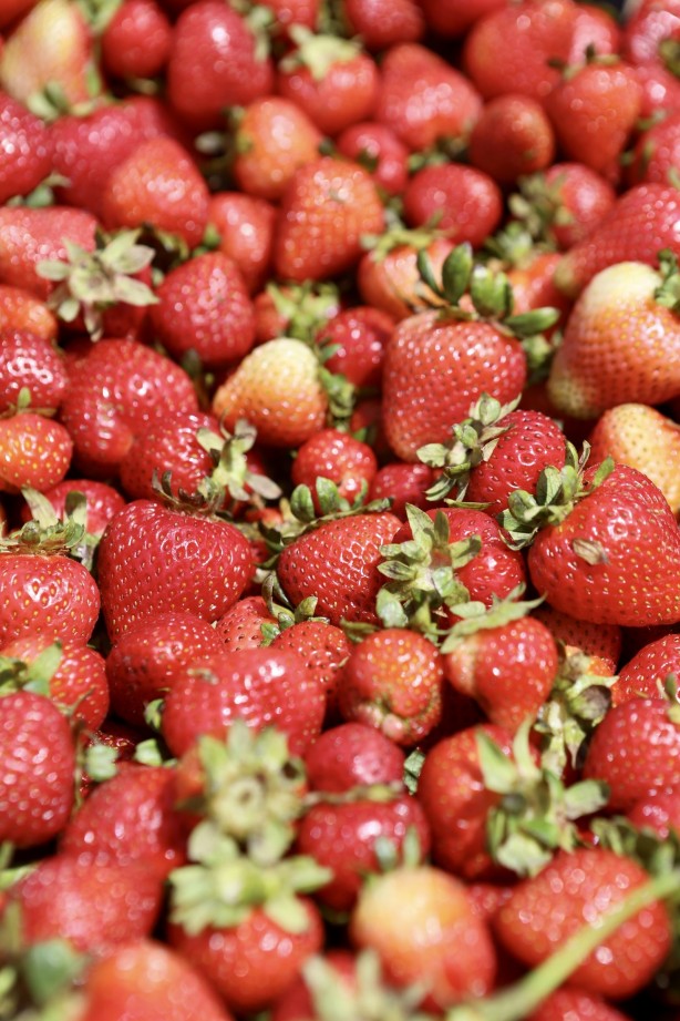 Foto - Ağrı'da yetişmez deniyordu! 1 yılda 200 ton verim alındı, herkes şok oldu