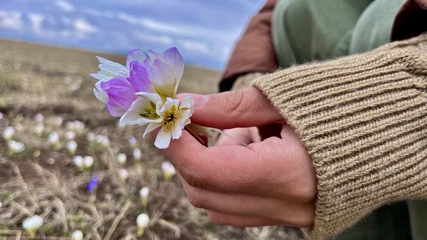 Foto - Ağrı'dan kartpostallık manzaralar
