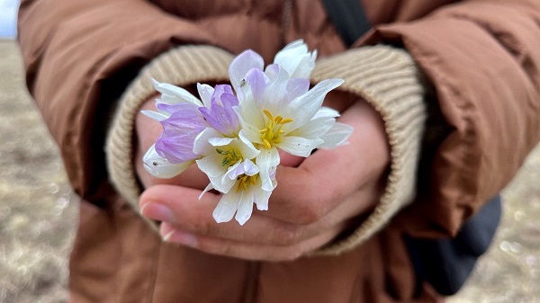Ağrı'dan kartpostallık manzaralar