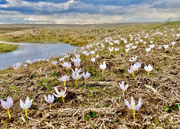 Foto - Ağrı'dan kartpostallık manzaralar