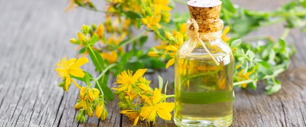 Foto - Ağrıları kökünden çözüyor! Faydalarını duyunca evinizden eksik etmeyeceksiniz