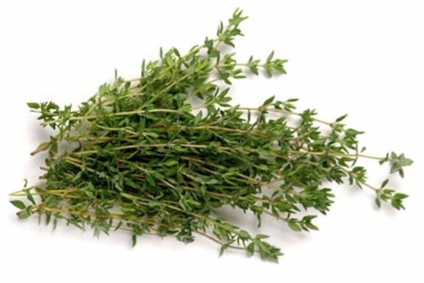 Foto - Ağrıyan yere sürerseniz...