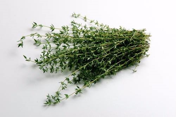 Foto - Ağrıyan yere sürerseniz...