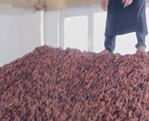 Foto - Ağzınıza bir daha o besini sürmeyeceksiniz! Süt, zeytin derken bir iğrençlik daha! Allah sizi kahretsin