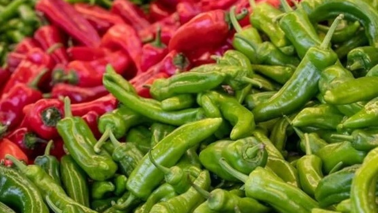 Ağzınıza sürmeden belli olacak! Biberin acı olup olmadığını anlamanın kolay yolu