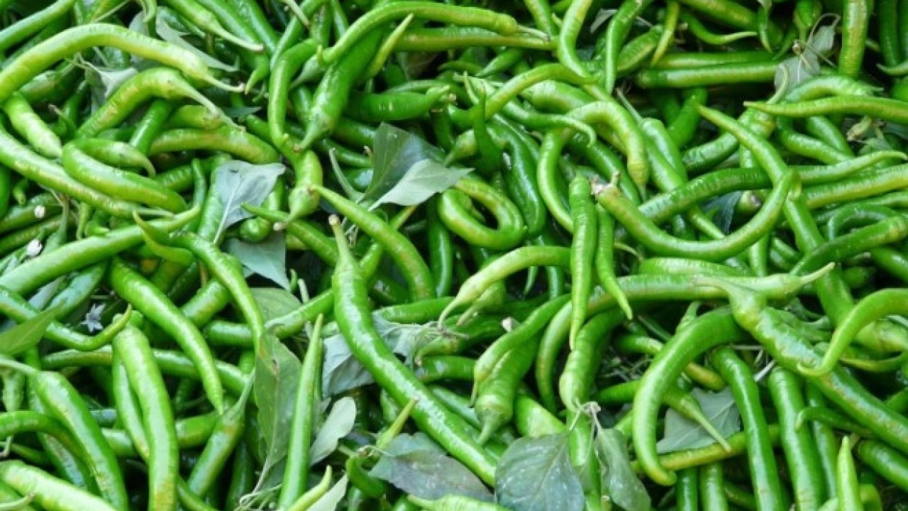 Foto - Ağzınıza sürmeden belli olacak! Biberin acı olup olmadığını anlamanın kolay yolu