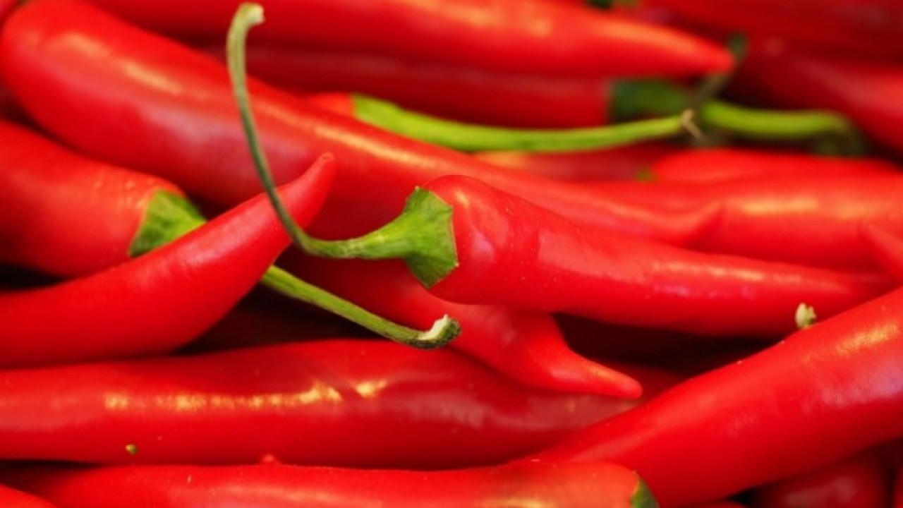 Foto - Ağzınıza sürmeden belli olacak! Biberin acı olup olmadığını anlamanın kolay yolu