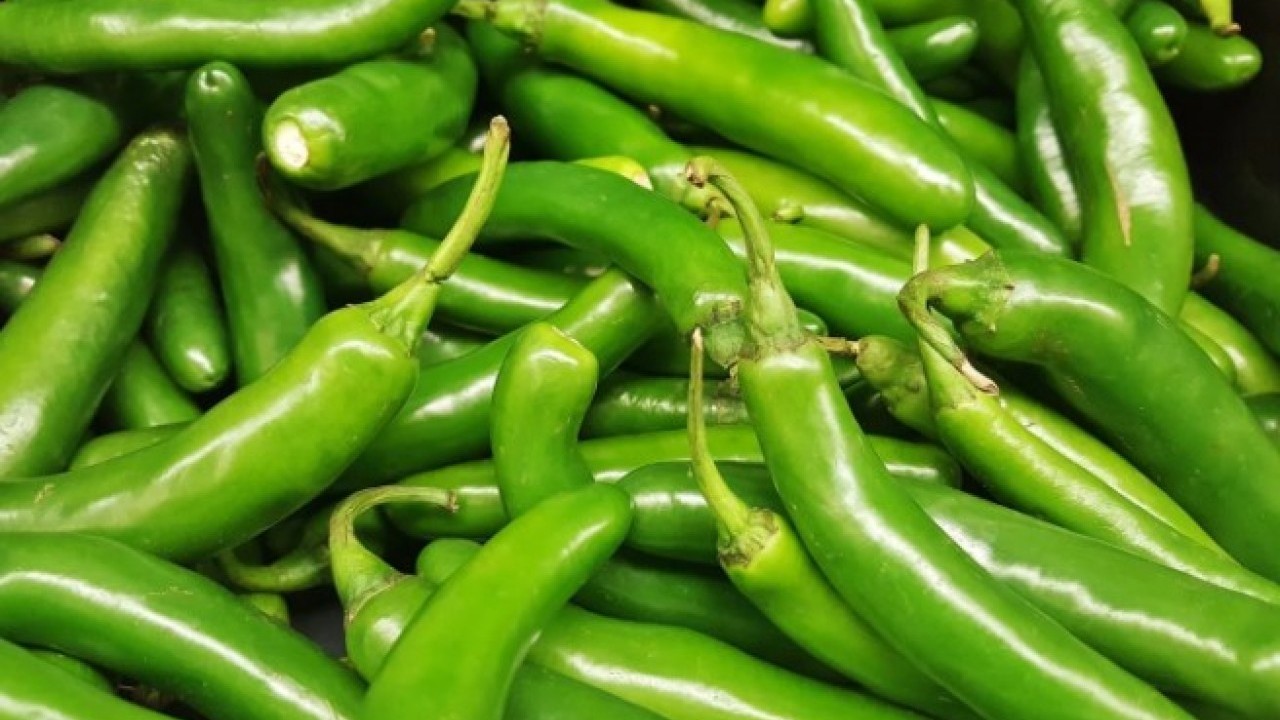 Foto - Ağzınıza sürmeden belli olacak! Biberin acı olup olmadığını anlamanın kolay yolu