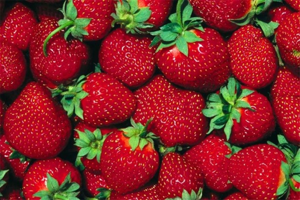 Foto - Ağzınızı yağ ile çalkalayın