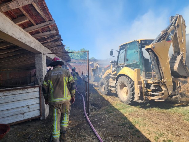 Foto - Ahır küle döndü hayvanlar yanarak telef oldu