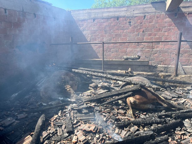 Ahır küle döndü hayvanlar yanarak telef oldu