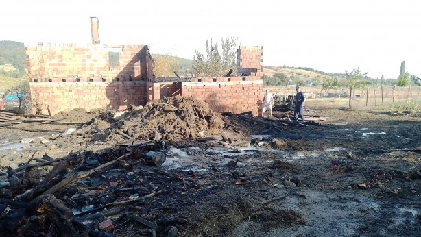 Foto - Ahır yangınında küçükbaş hayvanlar telef oldu