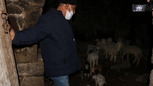 Ahırda çıkan yangında 171 kuzu telef oldu