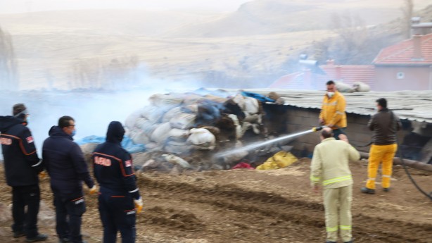 Foto - Ahırda çıkan yangında 171 kuzu telef oldu