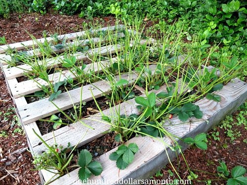 Foto - Ahşap paletlerle muhteşem dekorasyonlar