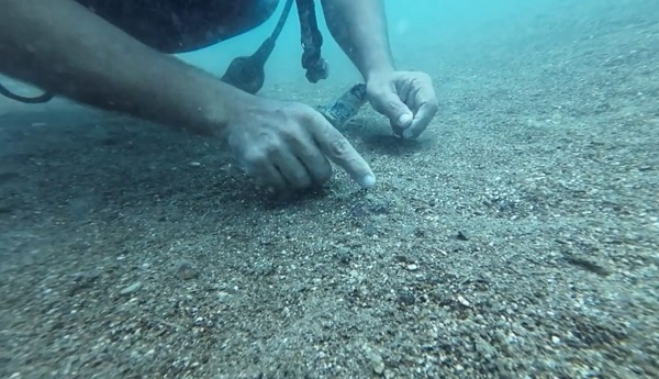 Foto - Ahtapot bakın neyi yuva yaptı!