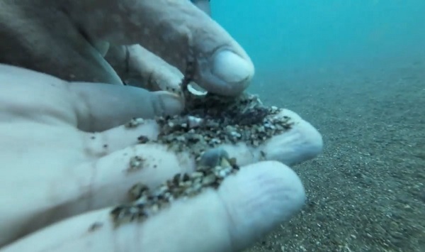 Foto - Ahtapot bakın neyi yuva yaptı!